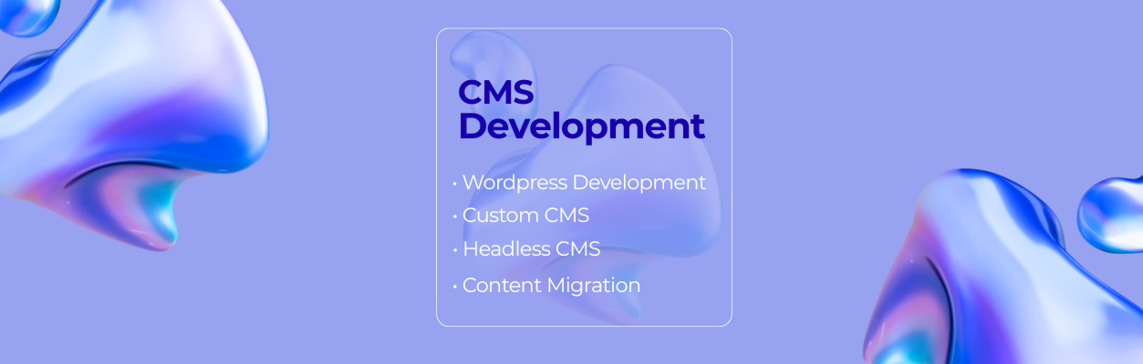 CMS Development